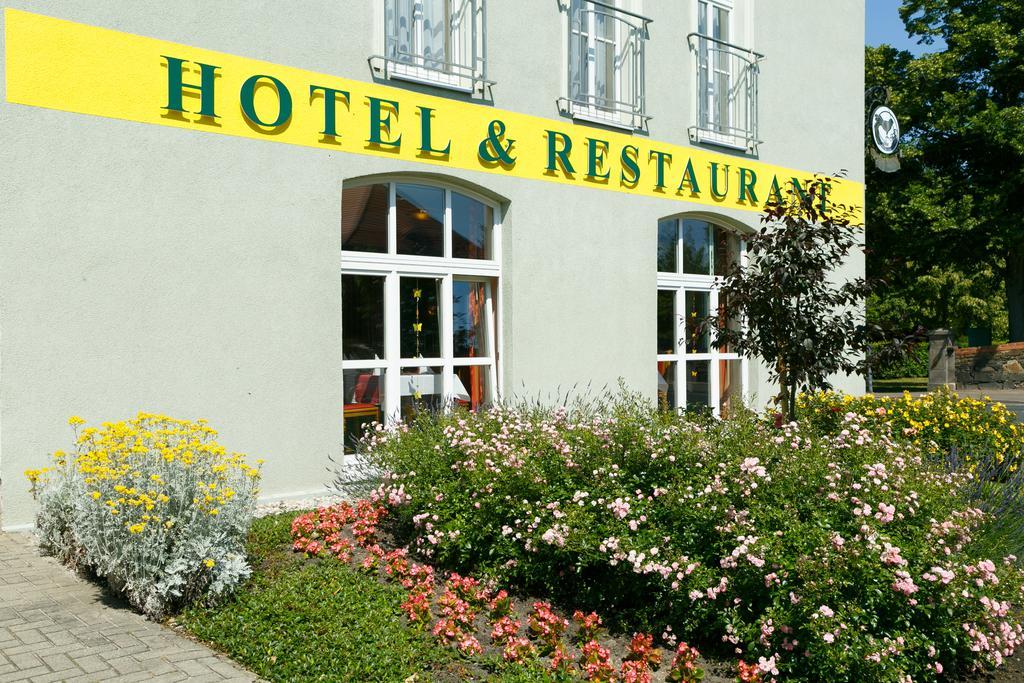 Hotel Goldener Fasan Oranienbaum-Woerlitz Exterior photo