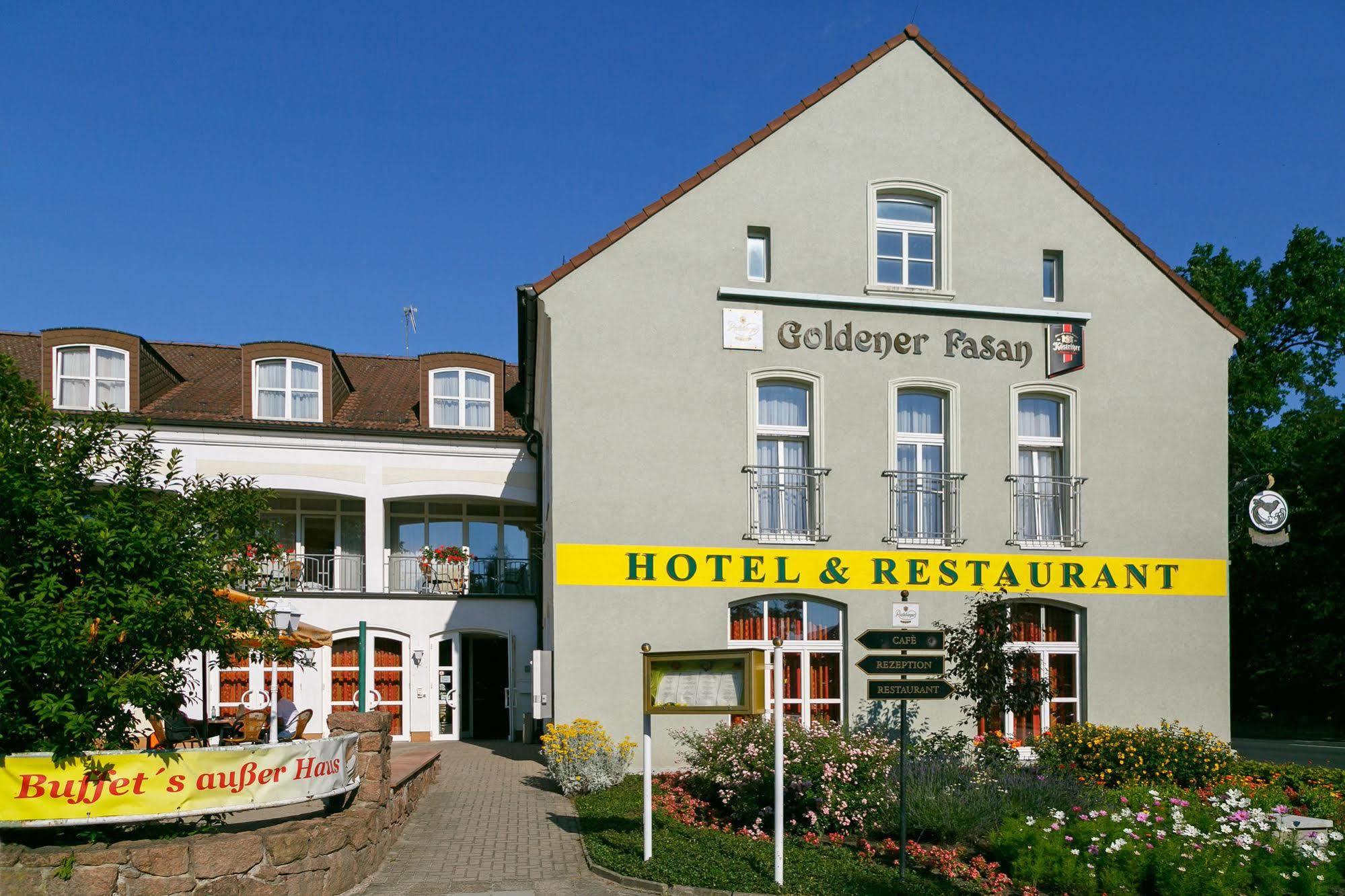 Hotel Goldener Fasan Oranienbaum-Woerlitz Exterior photo